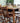 Breakfast Table