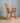 Birdcage Armchair